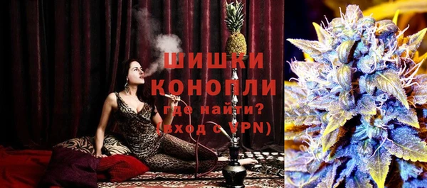 ГАЛЛЮЦИНОГЕННЫЕ ГРИБЫ Балахна