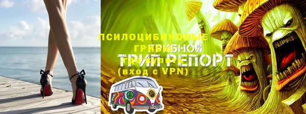 таблы Аркадак