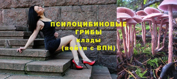 таблы Аркадак