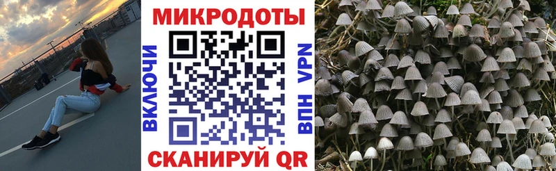 блэк спрут маркетплейс  даркнет официальный сайт  Псилоцибиновые грибы MAGIC MUSHROOMS  Ногинск 